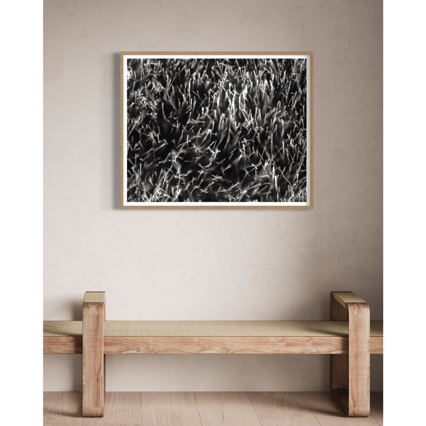 The Picturalist | Fine Art Photo Grass Splendor by David Hoefler