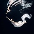 Getty Images Gallery Ballet dancer underwater by Henrik Sorensen