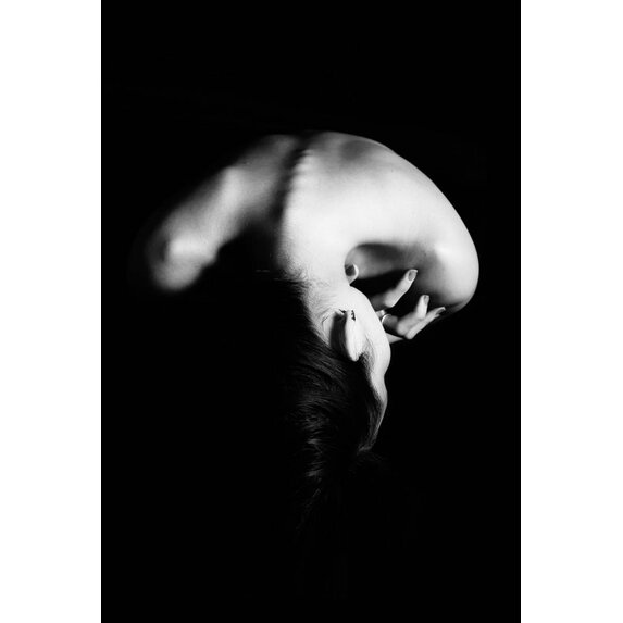 The Picturalist | Fine Art Prints on Paper In Peace by J. Alzate