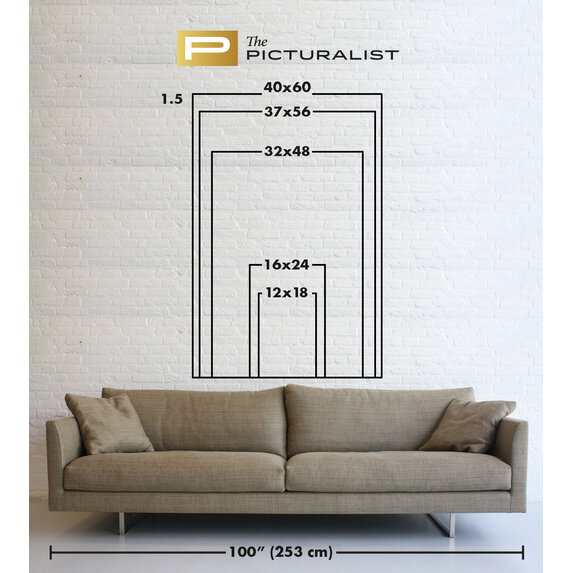 The Picturalist | Print on Canvas Natural Sketches by Alejandro Franseschini