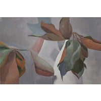 Framed Print on Rag Paper: Magnolia