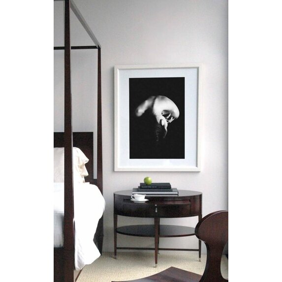 The Picturalist | Fine Art Prints on Paper In Peace by J. Alzate