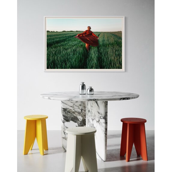 Getty Images Gallery Walking at Sunset – Premium Framed Photography Print by Igor Ustynskyy