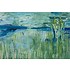 Stretched Print on Canvas Nature Studies 1 Canvas by Evelyn Ogly