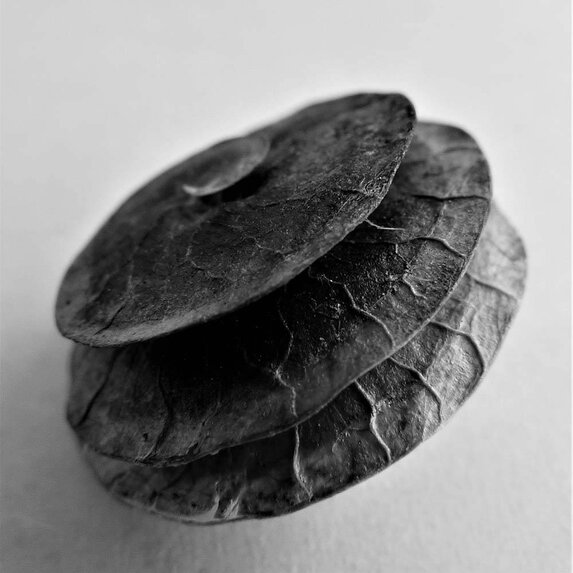 The Picturalist | Fine Art Photo Coque by Eric Gizard
