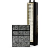 Hepa Post & Granulated Charcoal Filter Set - Riccar R25P