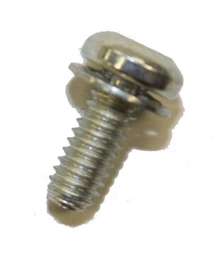 Neutral Pedal Torx Screw - Kirby G3/Avalir