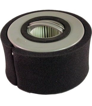 Hepa Filter - Eureka (DCF-20)