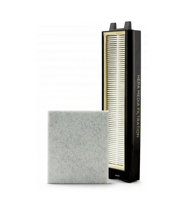 Riccar & Simplicity Hepa Post & Charcoal Filter Set - Riccar R25D