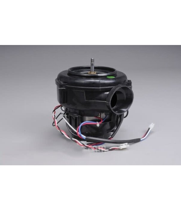 Rainbow Motor - Rexair Rainbow E2 Two Speed  Serial #s 1000000 To 170