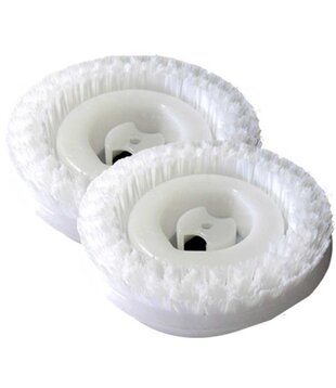 Carpet Brushes  - Koblenz Carpet Extractor 6"  (Pair)