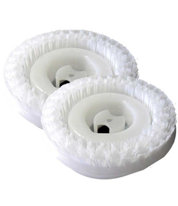 Koblenz Carpet Brushes  - Koblenz Carpet Extractor 6"  (Pair)