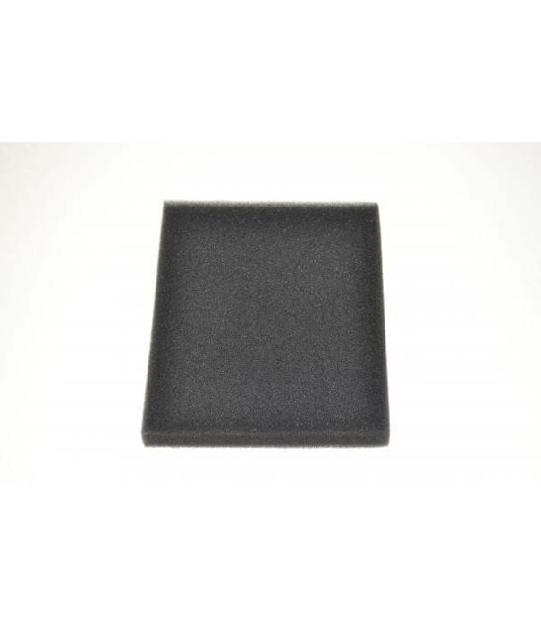 Bissell Pre Motor Filter - Bissell Healthy Homes (Lift-Off) OEM