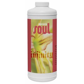 Aurora Innovations Soul Infinity, qt