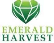 Emerald Harvest