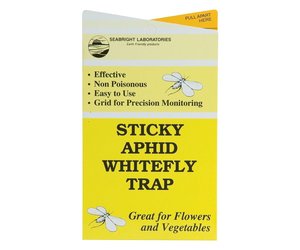 Seabright Laboratories Sticky Aphid White Fly Trap - 5 set