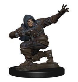 Wizkids Pathfinder Battles: Human Rogue Male W1 Premium Painted Figure