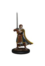 Wizkids Premium Figures - Human Cleric Male W4 Icons of the Realms
