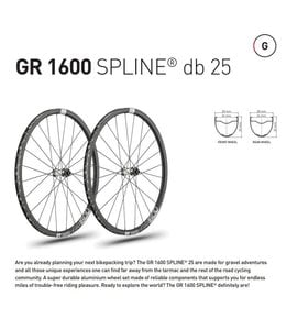 DT Swiss DT Swiss Wheelset GR1600 700c 12x142, 12x100, 18 Tooth Ratchet, CL 6 Bolt Disc Brake