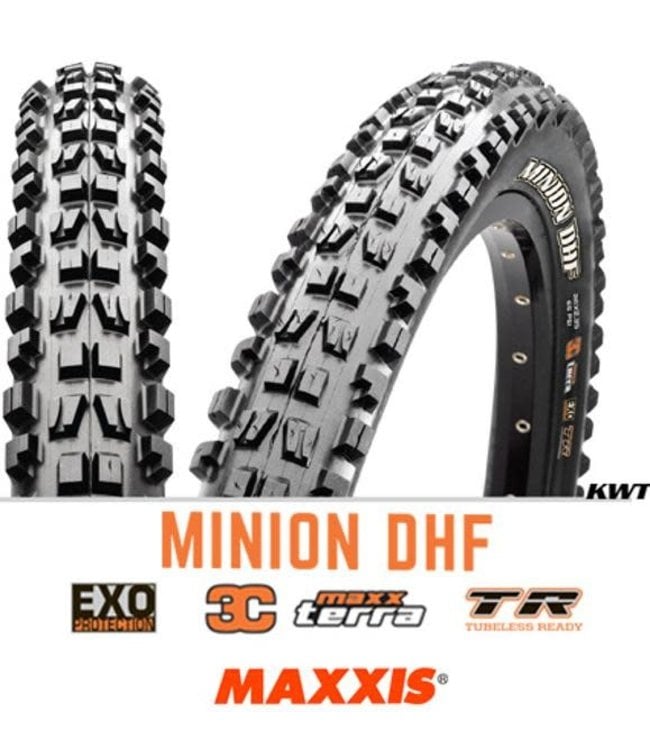 maxxis minion 29