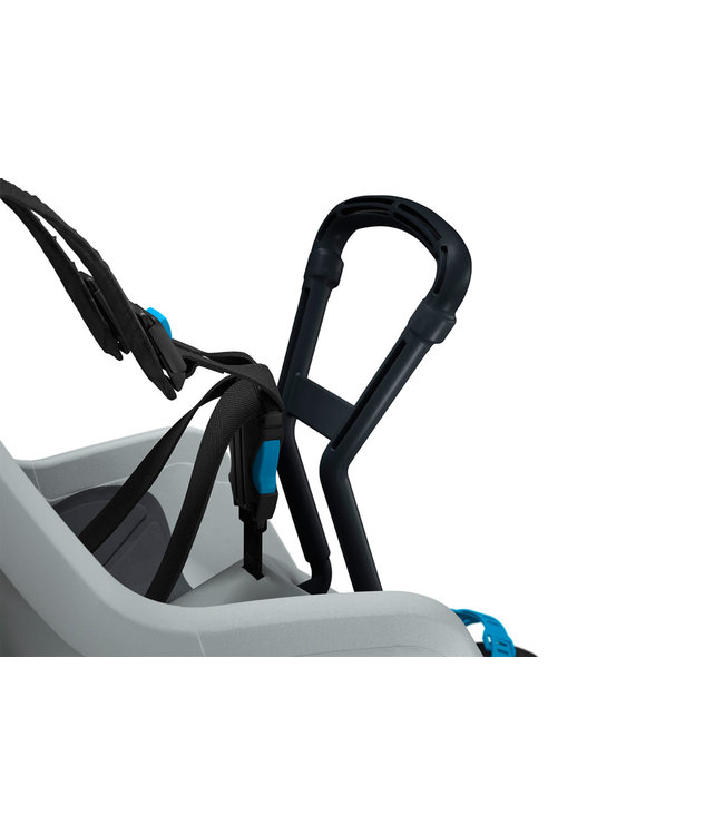 Thule RideAlong Mini