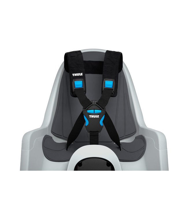 Thule RideAlong Mini