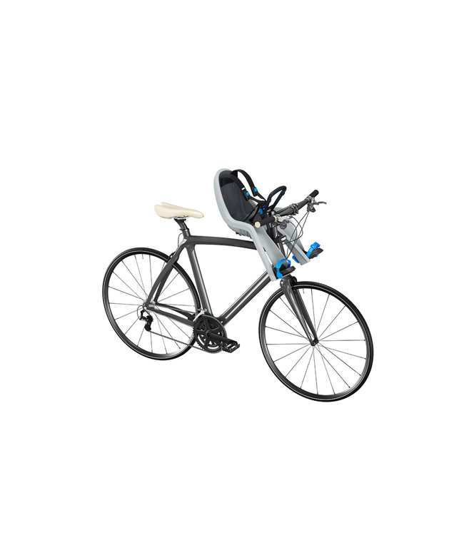 Thule RideAlong Mini