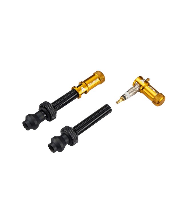 Granite Juicy Nipple Tubeless Valves