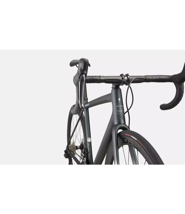 specialized chameleon paint