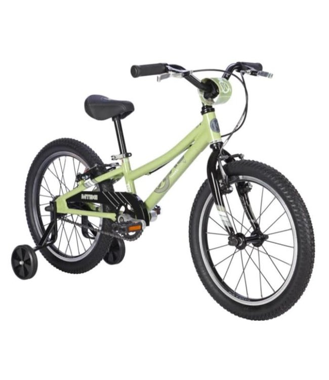 ByK ByK E-350x1 MTBG Sage Green / Black