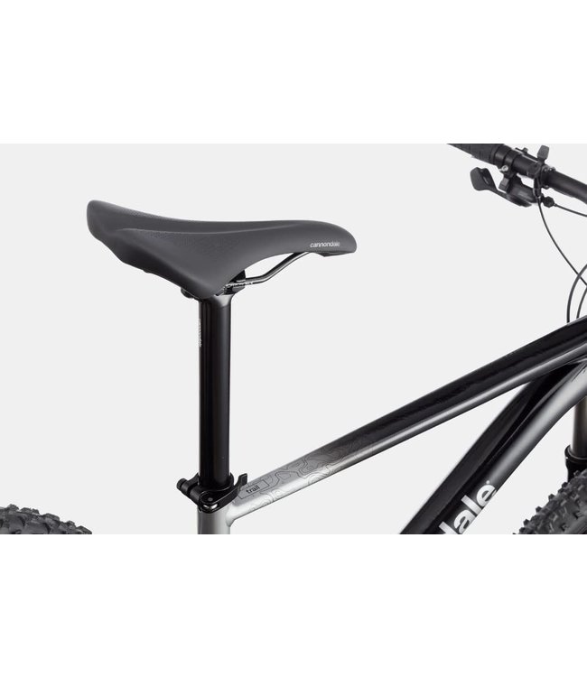 Cannondale Cannondale Trail SL 4 Grey