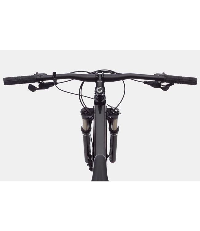 Cannondale Cannondale Trail SL 4 Grey