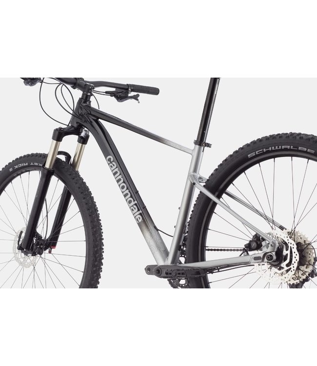 Cannondale Cannondale Trail SL 4 Grey