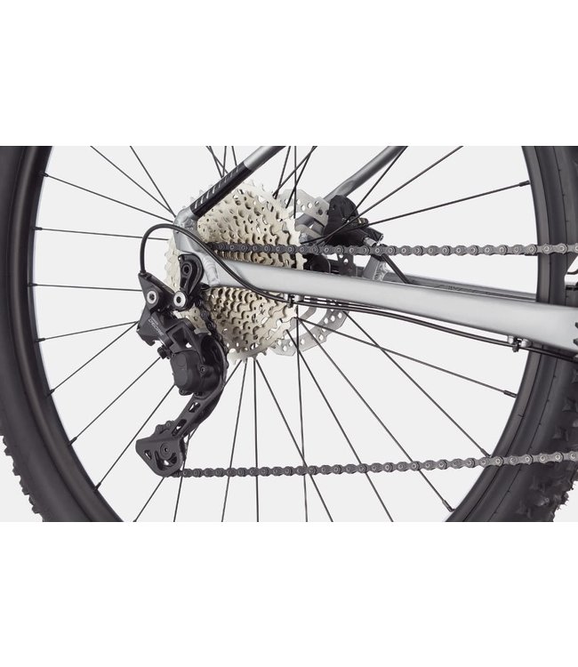 Cannondale Cannondale Trail SL 4 Grey