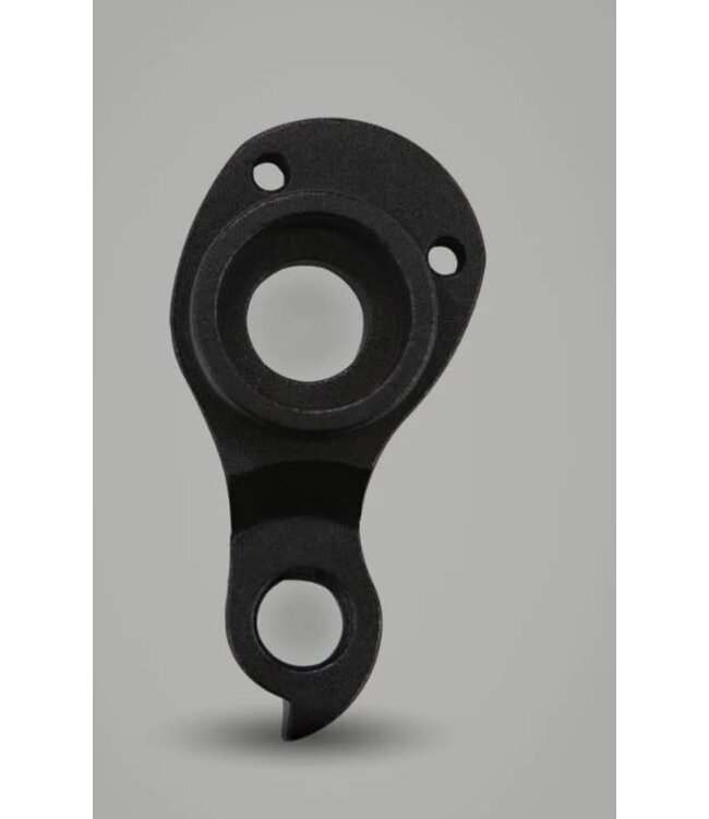 Curve Cycling Curve Hanger Type 3 Titanium Bolts