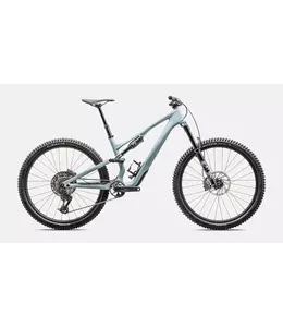 Specialized Specialized Stumpjumper 15 Comp Gloss Seafoam / Silver Dust
