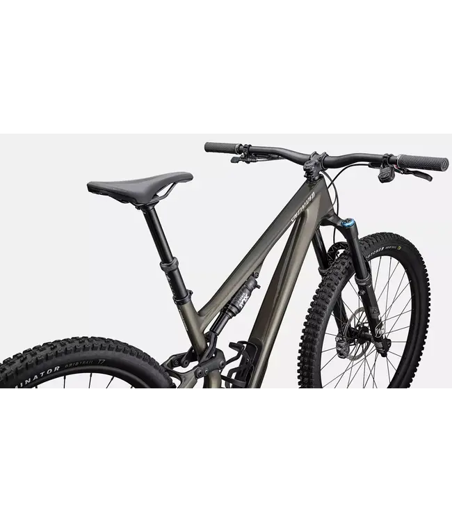 Specialized Specialized Stumpjumper 15 Expert Gloss Gunmetal / White Mountains