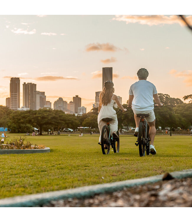 Velectrix Velectrix Cruiser ST – Step Though Electric Bike