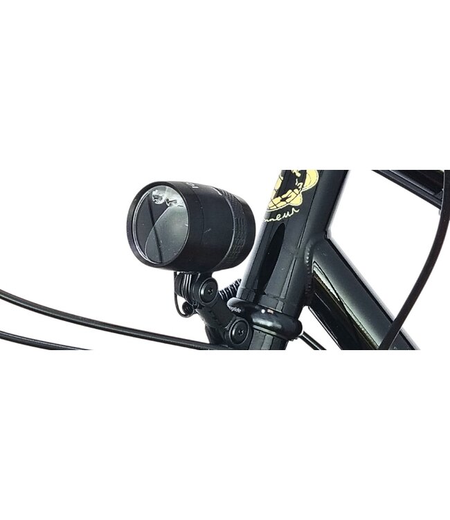 Vivente Vivente Barcoo Bar Small Rohloff-Gates 46:19 650B x 50mm  Schwalbe Mondial