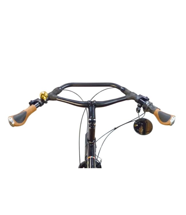 Vivente Vivente Barcoo Bar Small Rohloff-Gates 46:19 650B x 50mm  Schwalbe Mondial