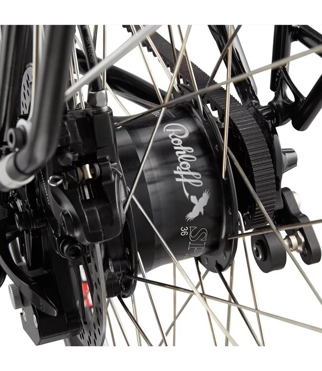 Vivente Vivente Barcoo Bar Small Rohloff-Gates 46:19 650B x 50mm  Schwalbe Mondial