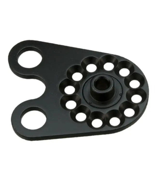 Rohloff Rohloff Axle Plate CC - 8232