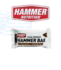 Hammer Nutrition Hammer Nutrition Energy Bars - Chocolate Chip 50g