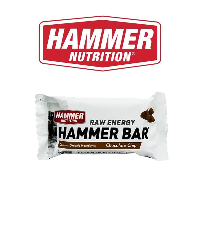 Hammer Nutrition Hammer Nutrition Energy Bars - Chocolate Chip 50g