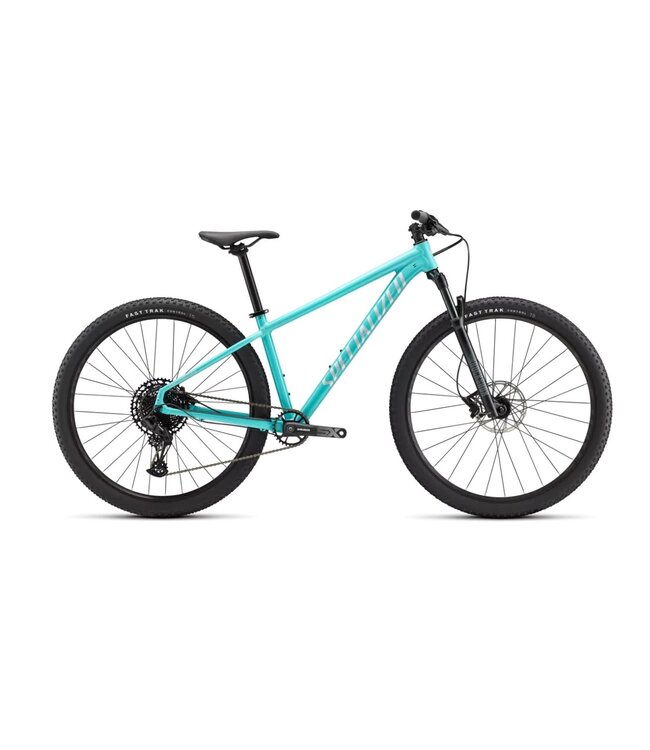 Specialized Specialized 23 Rockhopper Expert 29 Gloss Lagoon Blue / Satin Light Silver Large