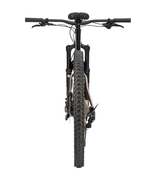 Surly Surly Sorceress Hot Honey Bling Bike