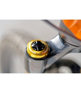 Funn NOS Air Fork Valve Cap - F Type Fox 34/68 - Gold
