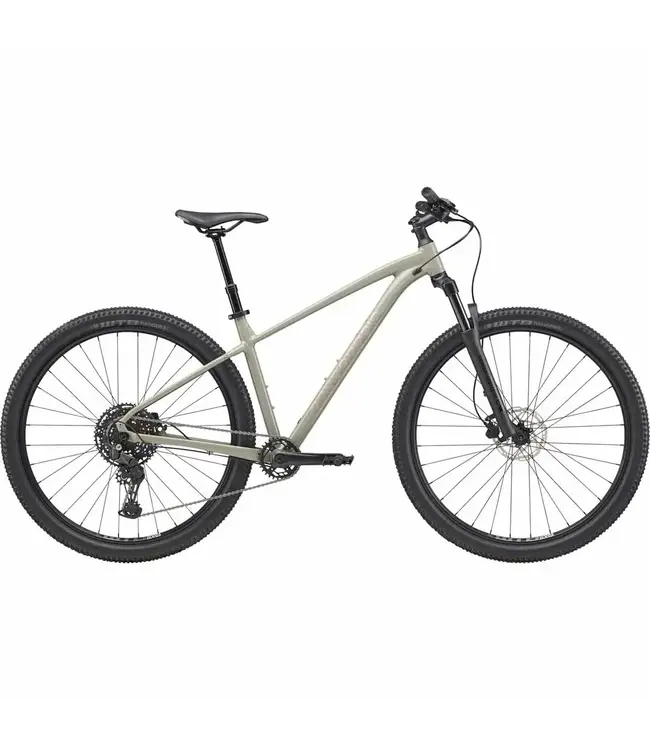 Cannondale Cannondale Trail 1