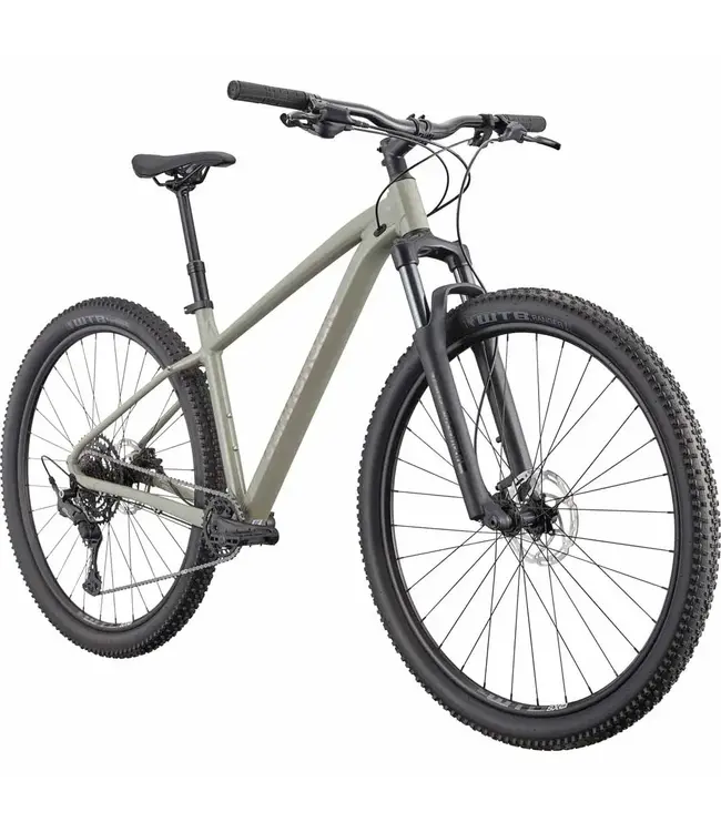 Cannondale Cannondale Trail 1