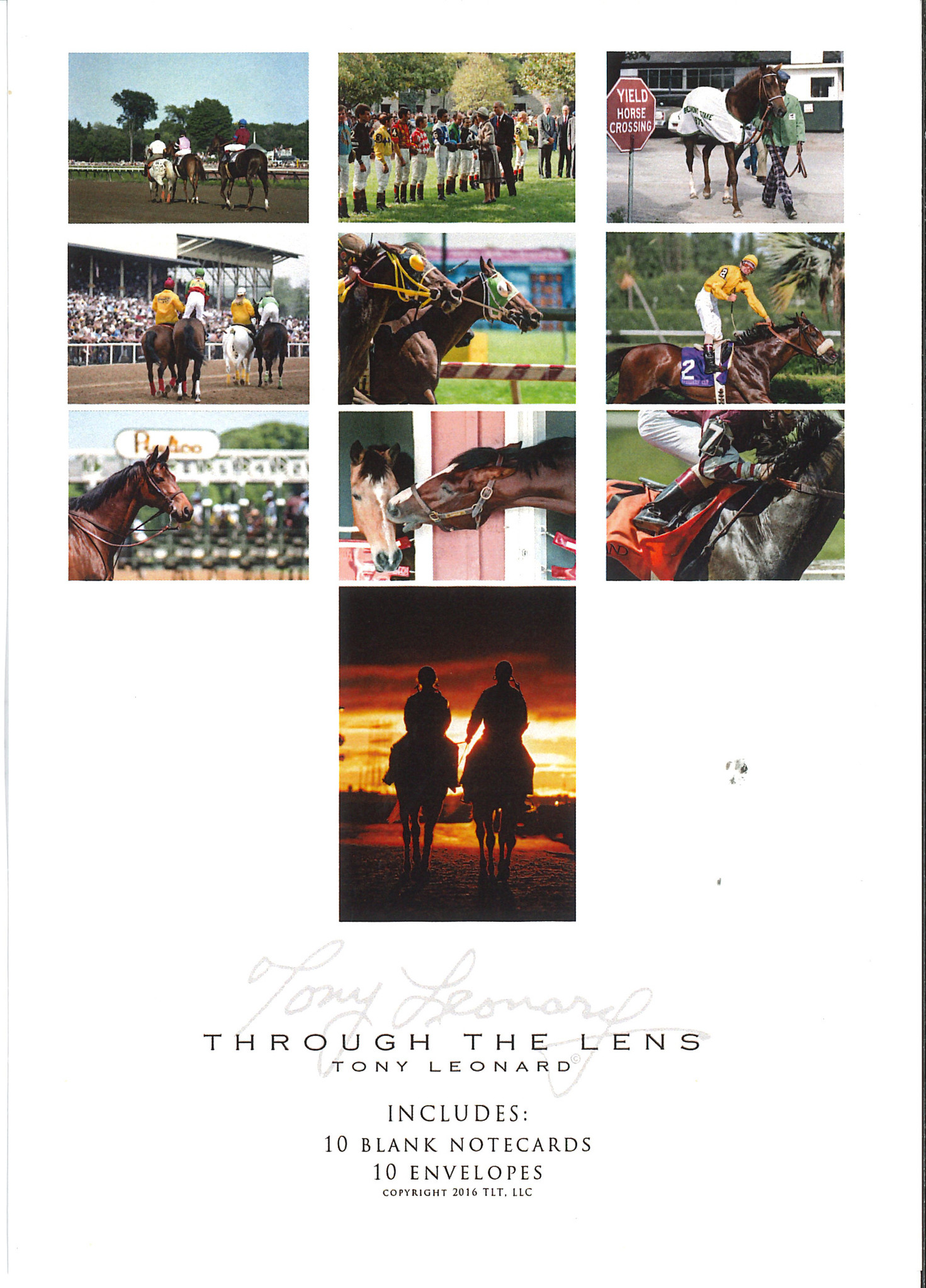 Tony Leonard Note Card Set